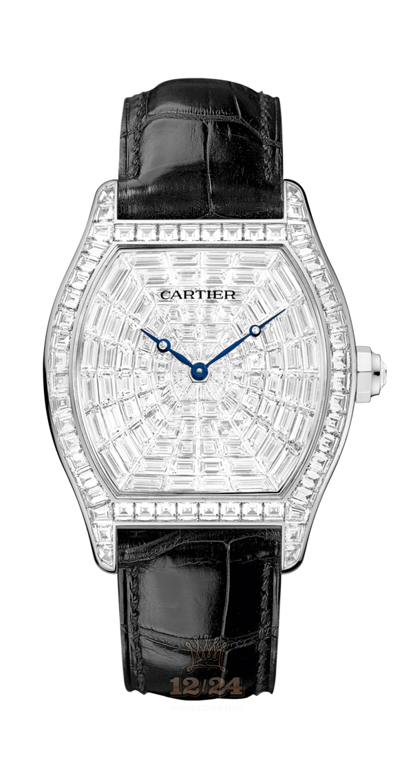 Cartier Tortue Watch HPI00502 38 mm White gold Case Silver Dial