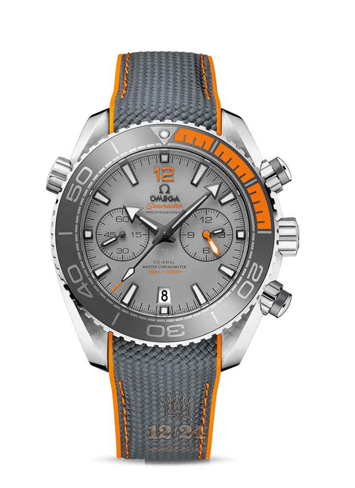 Omega Planet Ocean 600 M Watch 215.92.46.51.99.001 45 mm Titanium Case Gray Dial