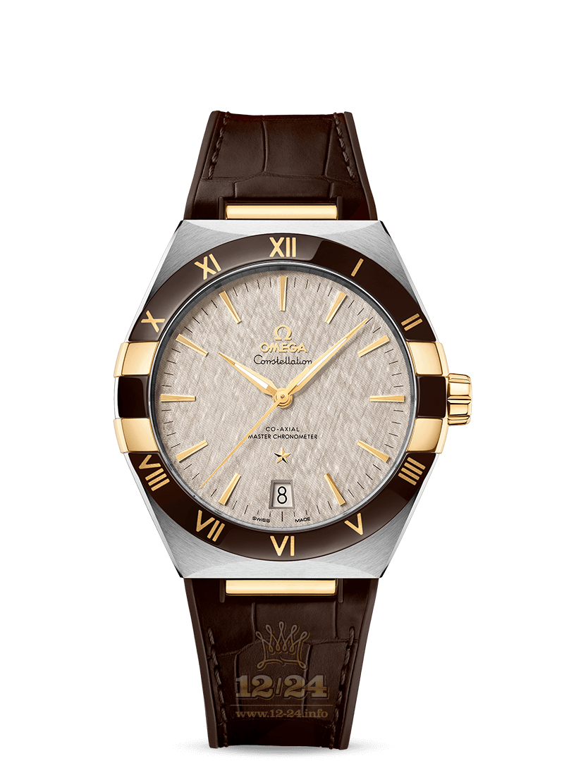 Omega Seamaster Watch 131.23.41.21.06.002 41 mm Stainless steel Yellow gold Case Gray Dial