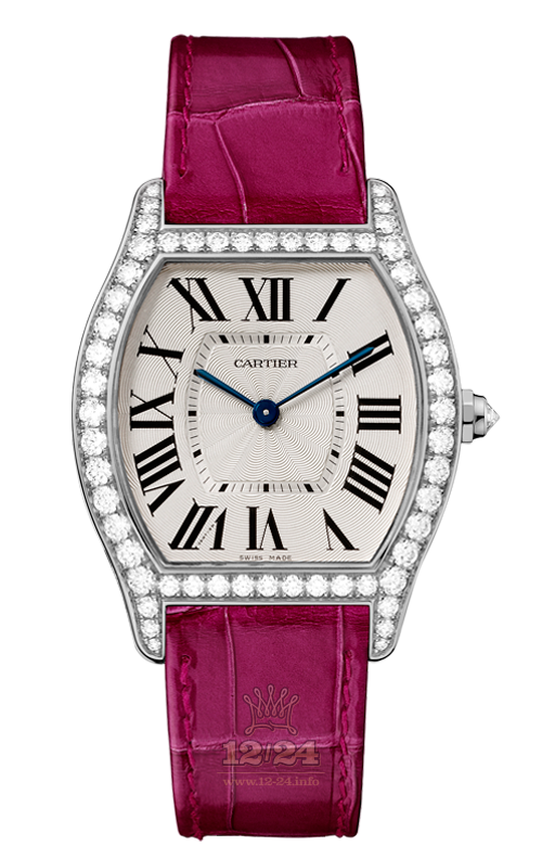 Cartier Tortue Watch WA501009 39 mm White gold Case Silver Dial