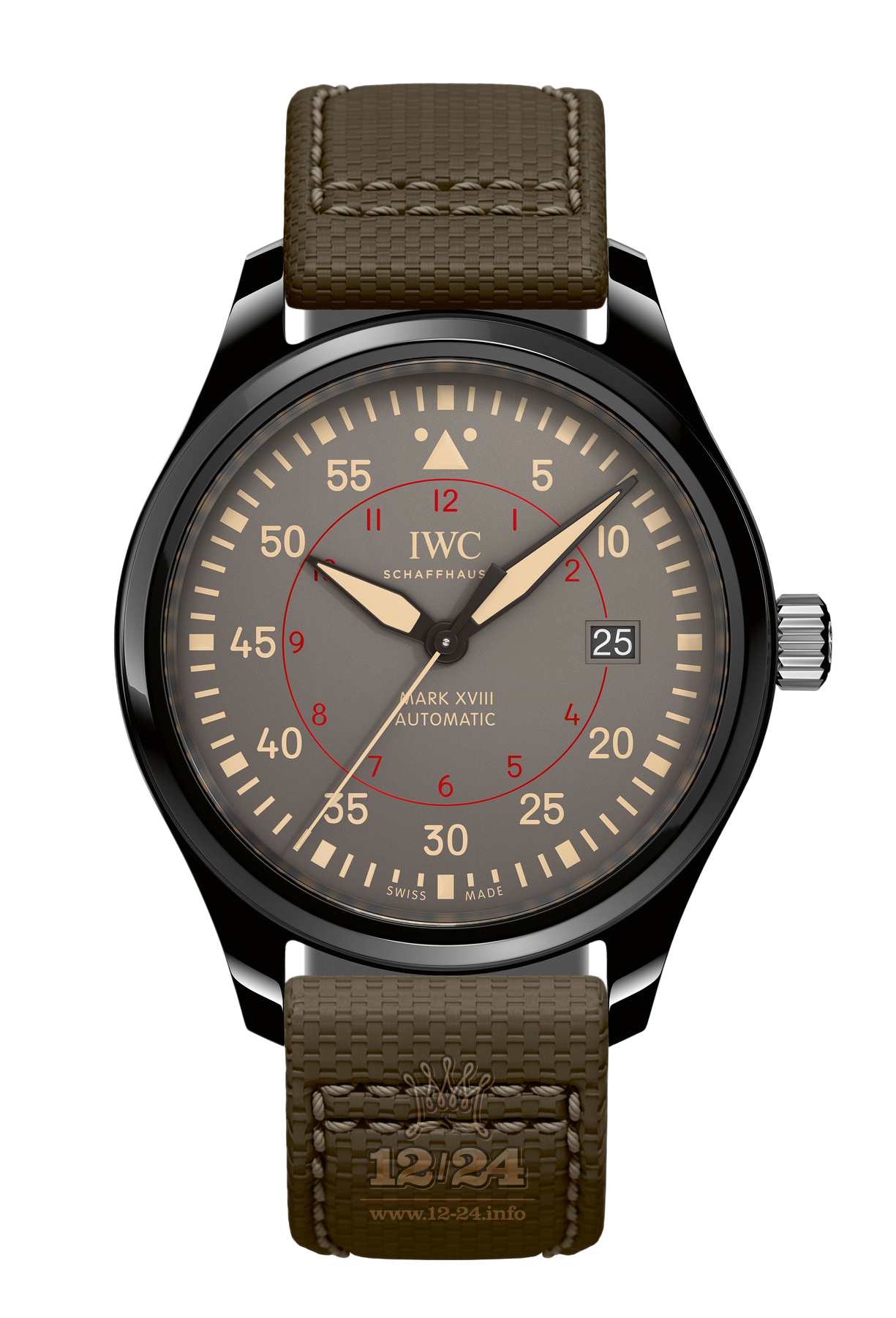 IWC Pilot s Watches Watch IW324702 41 mm Ceramics Case Gray Dial