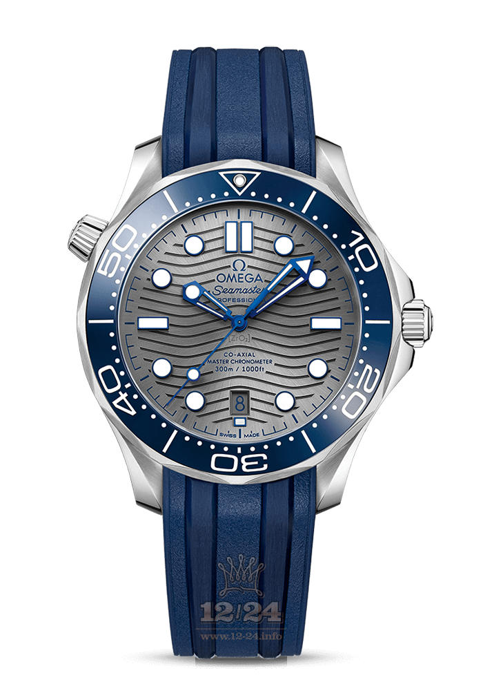 Omega Diver 300 M Watch 210.32.42.20.06.001 42 mm Stainless steel Case Gray Dial
