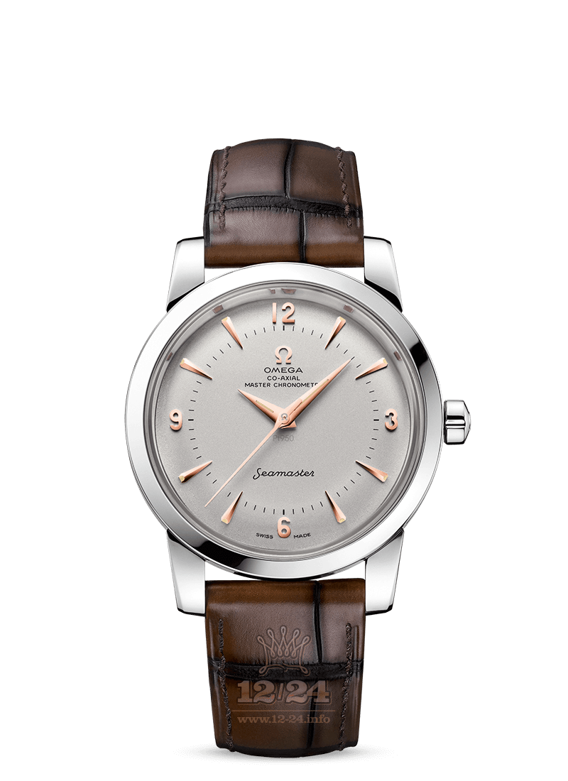 Omega Seamaster Watch 511.93.38.20.99.002 38 mm Platinum Case Gray Dial