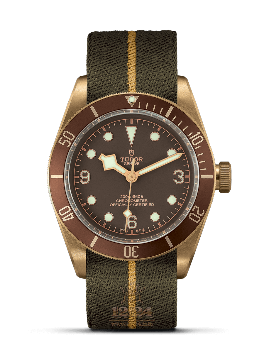 Tudor Black Bay Bronze Watch M79250BM-0004 43 mm Stainless steel Bronze PVD coating Case Brown (chocolate) Dial