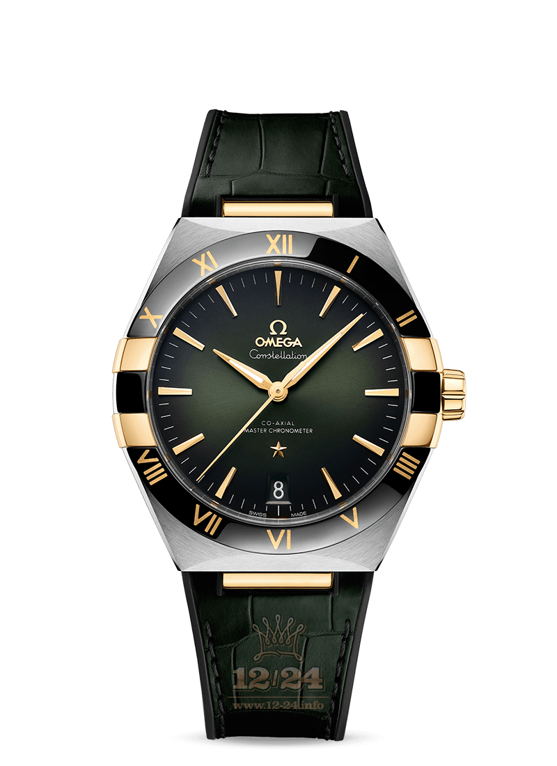 Omega Seamaster Watch 131.23.41.21.10.001 41 mm Stainless steel Yellow gold Case Green Dial