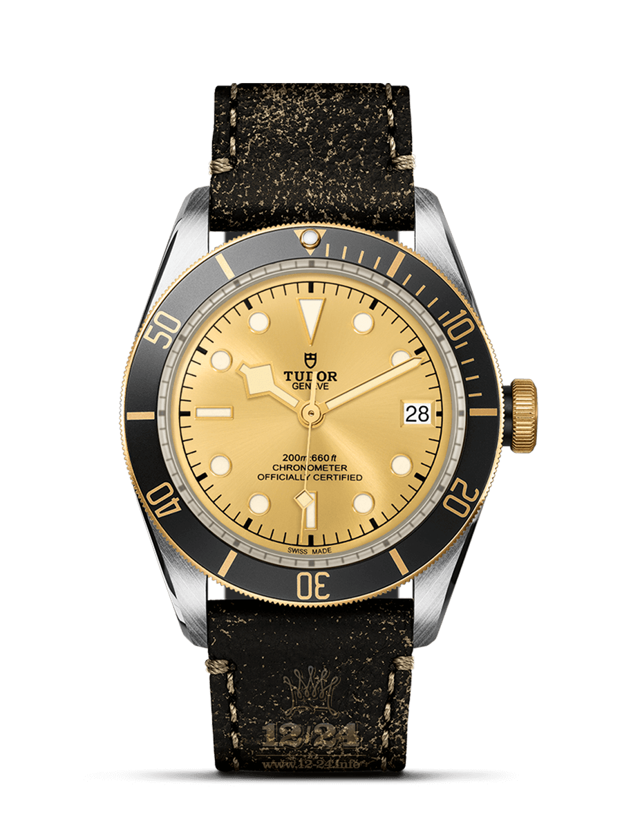 Tudor Black Bay S G Watch m79733n-0003 41 mm Steel / Yellow gold Case Golden Dial