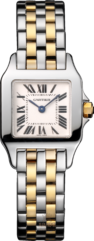 Cartier Santos de Cartier Watch W25066Z6 28 mm Stainless steel Case Silver Dial