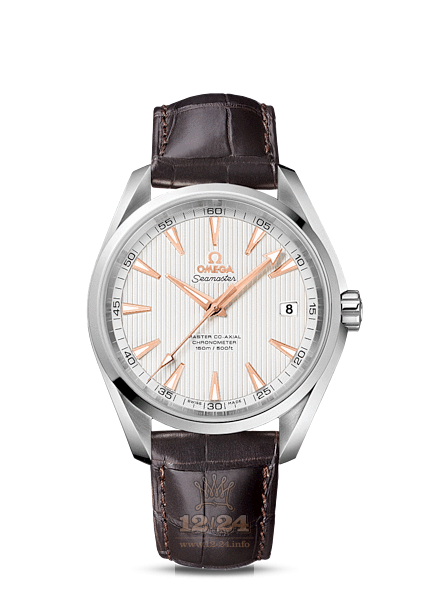 Omega Aqua Terra 150 M Watch 231.13.42.21.02.003 42 mm Stainless steel Case Silver Dial