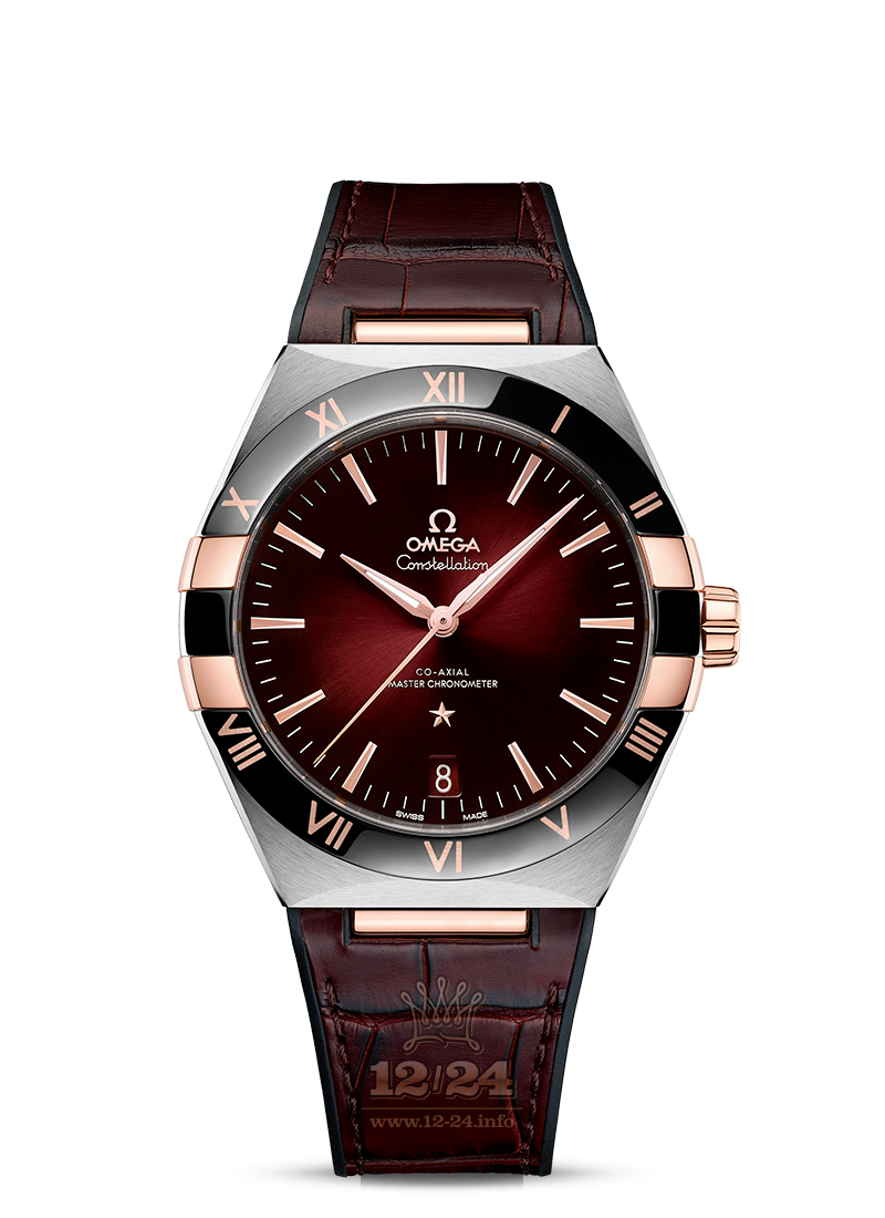 Omega Seamaster Watch 131.23.41.21.11.001 41 mm Stainless steel Pink gold Case Red Dial
