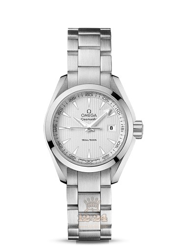 Omega Aqua Terra 150 M Watch 231.10.30.60.02.001 30 mm Stainless steel Case Silver Dial