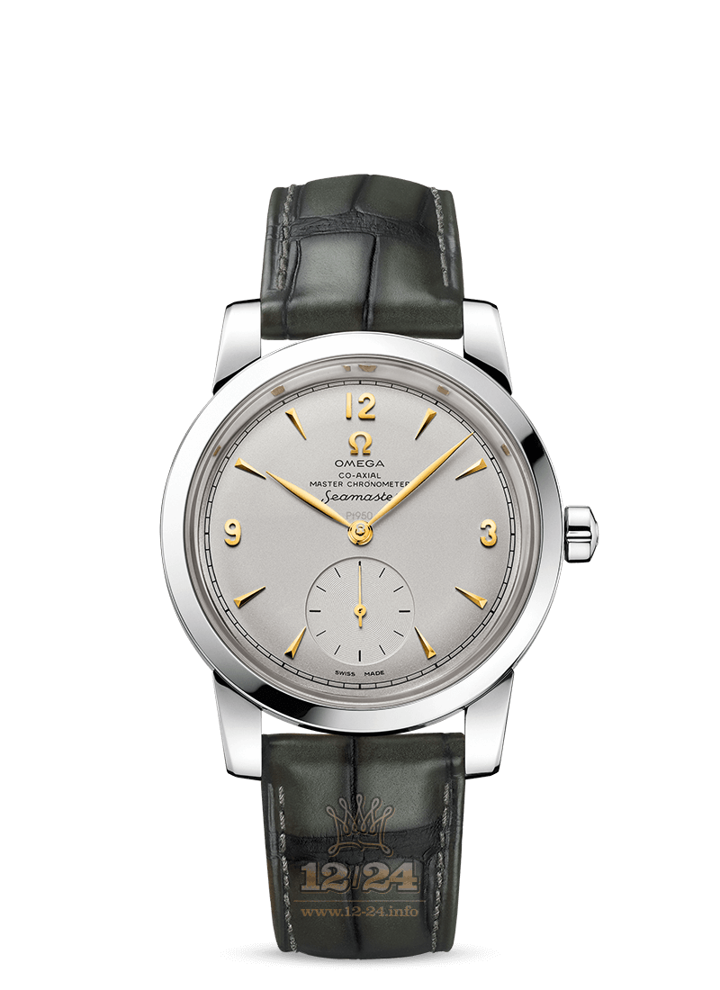 Omega Seamaster Watch 511.93.38.20.99.001 38 mm Platinum Case Gray Dial
