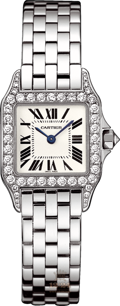 Cartier Santos de Cartier Watch WF9003Y8 28 mm White gold Case Silver Dial