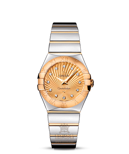 Omega Constellation Watch 123.20.27.60.58.002 27 mm Steel / Yellow gold Case