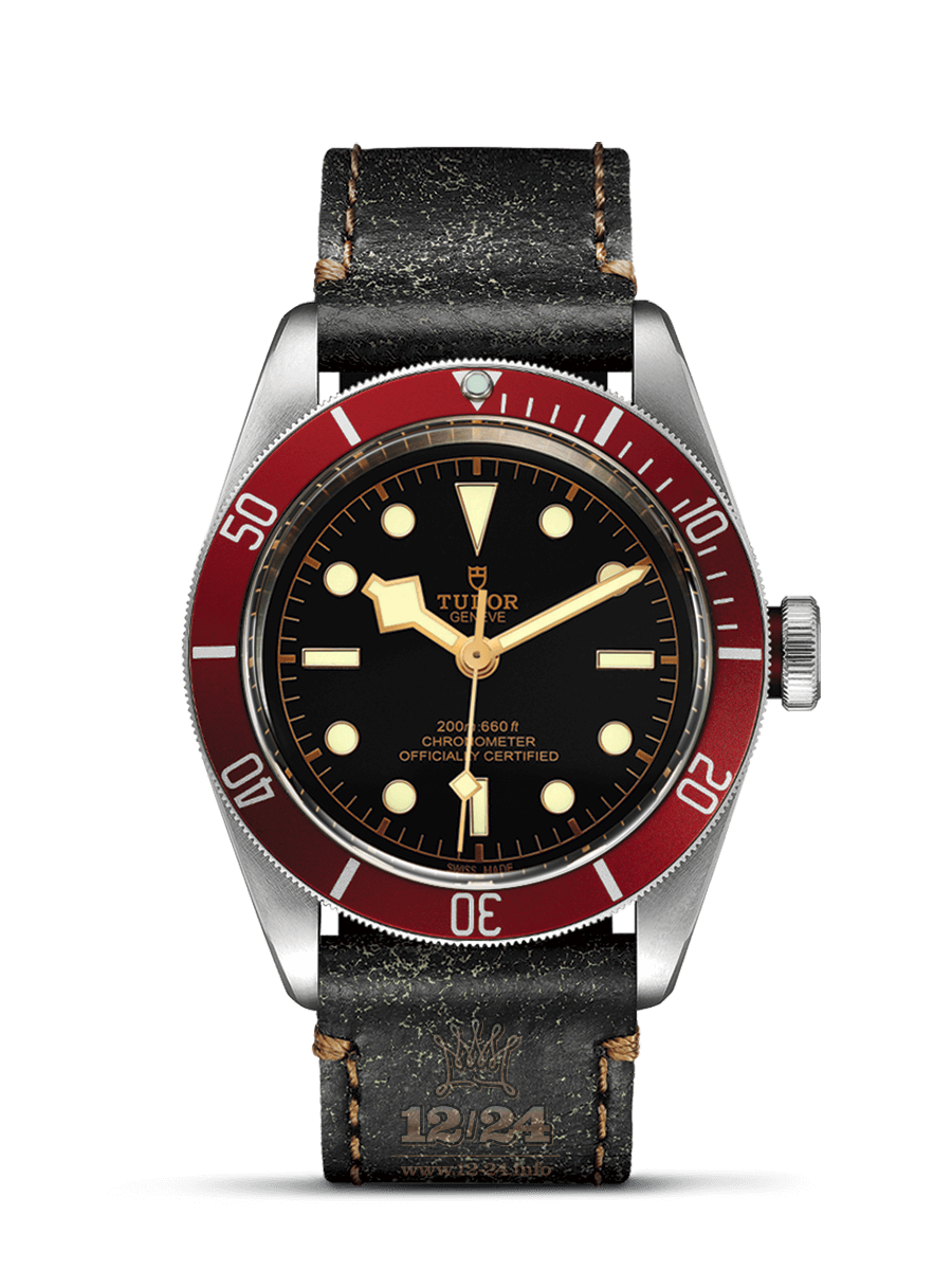 Tudor Black Bay Watch M79230R-0011 41 mm Stainless steel Case Black Dial