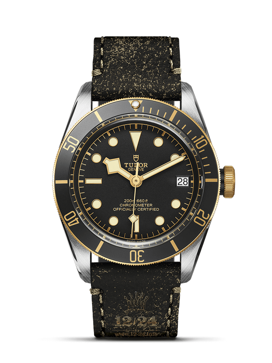 Tudor Black Bay S G Watch M79733N-0007 41 mm Stainless steel Yellow gold Case Black Dial