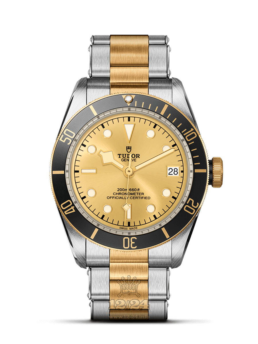 Tudor Black Bay S G Watch m79733n-0004 41 mm Steel / Yellow gold Case Golden Dial
