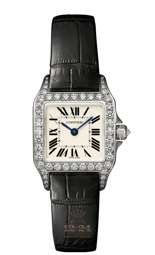 Cartier Santos de Cartier Watch WF902007 28 mm White gold Case Silver Dial