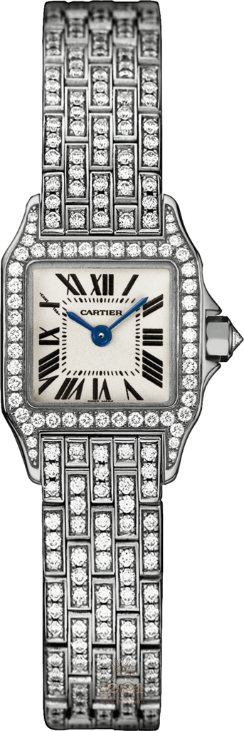 Cartier Santos de Cartier Watch WF9005YA 24 mm White gold Case Silver Dial
