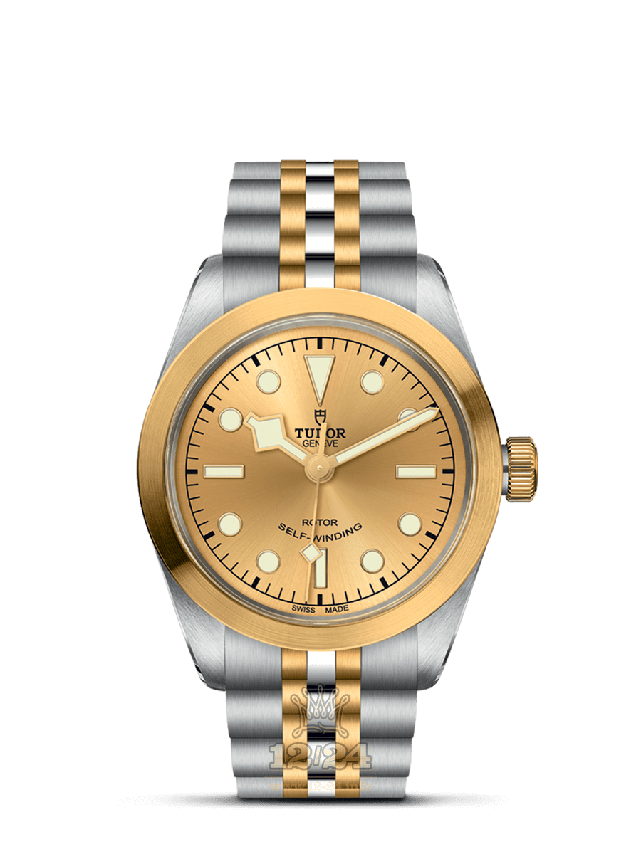 Tudor Black Bay 36 Watch M79503-0002 36 mm Stainless steel Yellow gold Case Golden Dial
