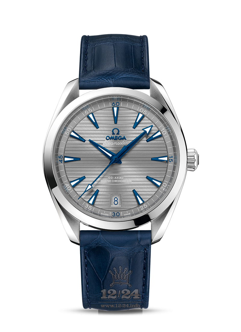 Omega Aqua Terra 150 M Watch 220.13.41.21.06.001 41 mm Stainless steel Case Gray Dial