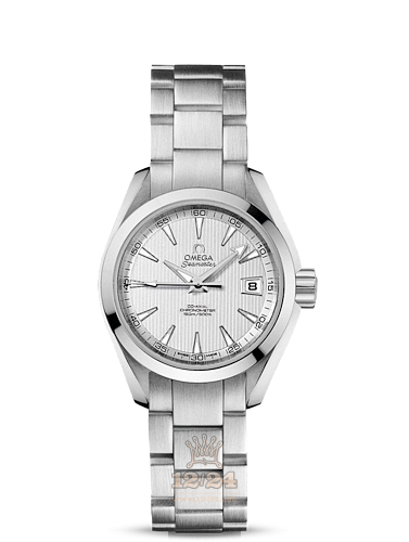 Omega Aqua Terra 150 M Watch 231.10.30.20.02.001 30 mm Stainless steel Case Silver Dial