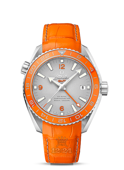 Omega Planet Ocean 600 M Watch 232.93.44.22.99.001 44 mm Platinum Ceramics Case Gray Silver Dial