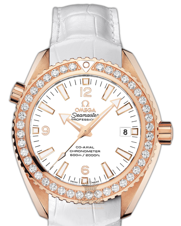 Omega Planet Ocean 600 M