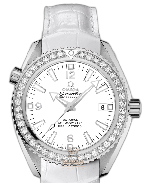 Omega Planet Ocean 600 M