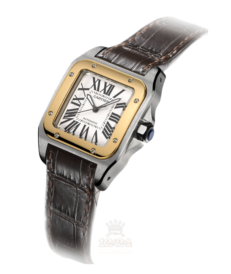 Cartier Santos 100