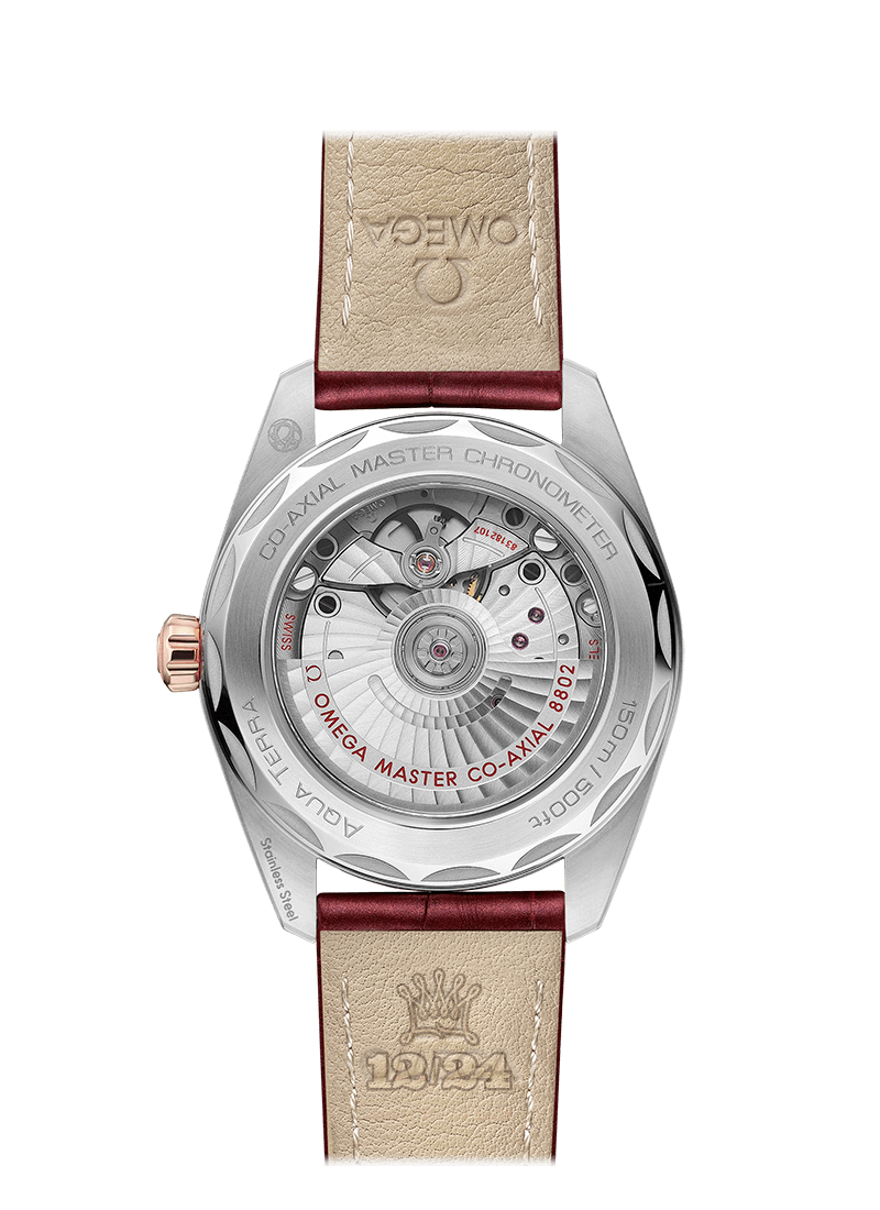 Omega Seamaster