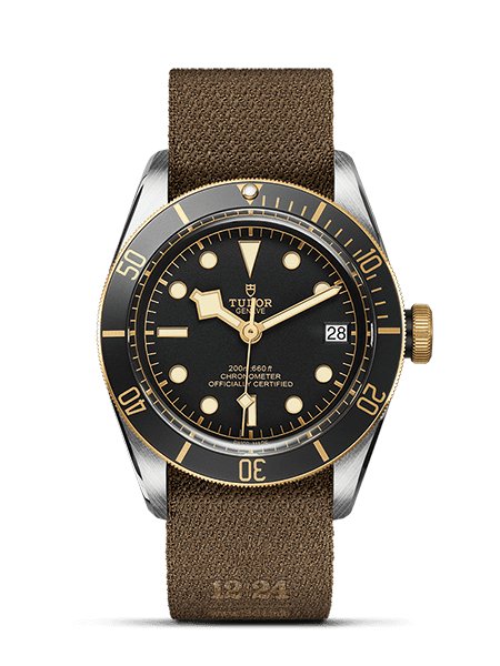 Tudor Black Bay S&G