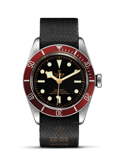 Tudor Black Bay