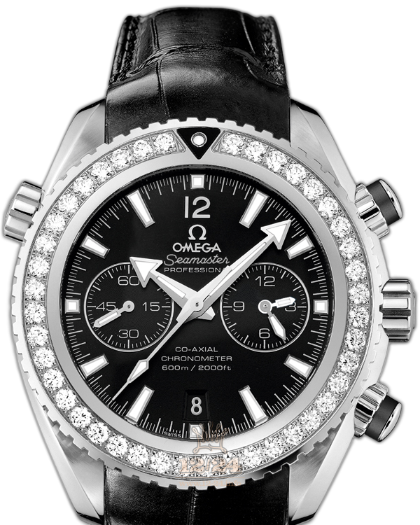 Omega Planet Ocean 600 M