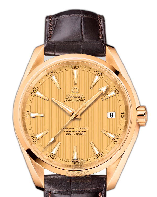 Omega Aqua Terra 150 M