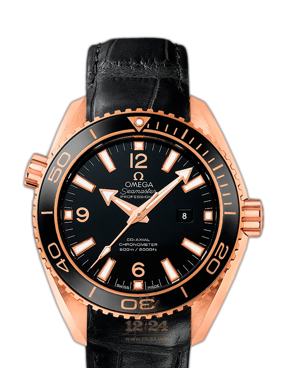 Omega Planet Ocean 600 M