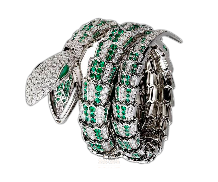 Bvlgari Serpenti