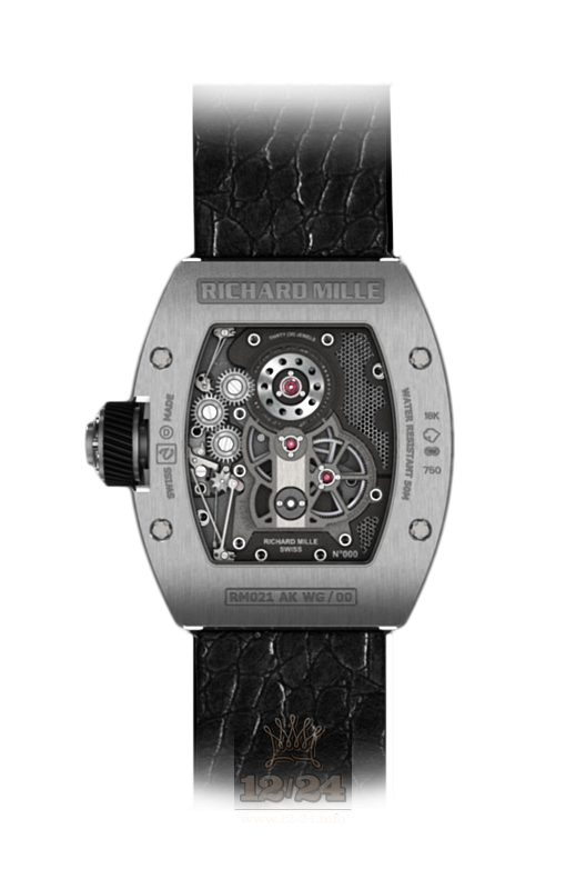 Richard Mille Mens Collection