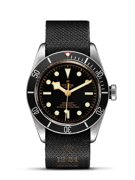 Tudor Black Bay