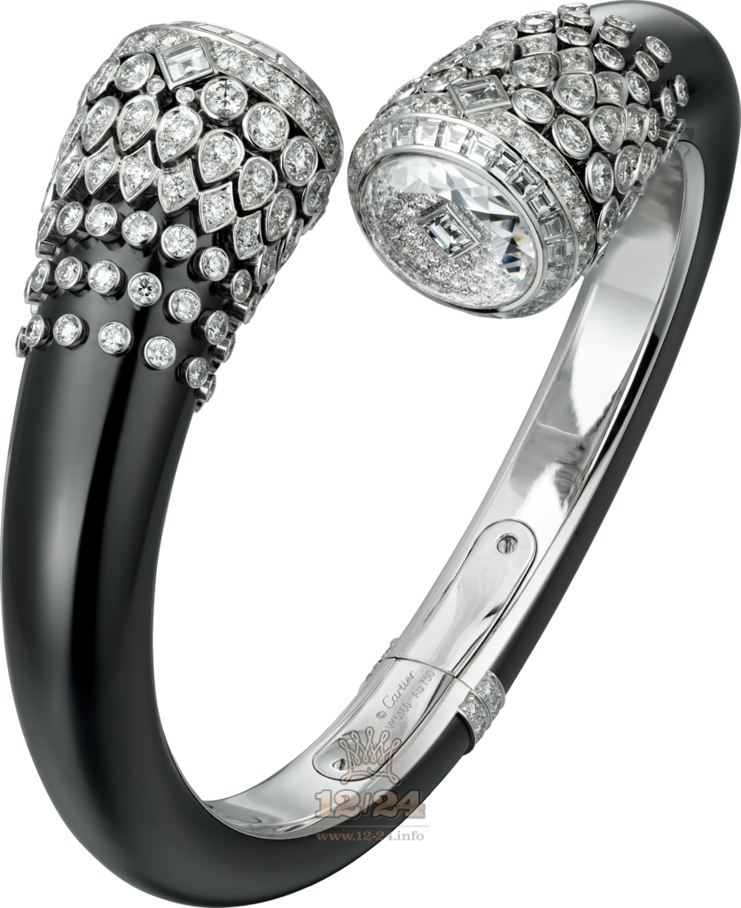 Cartier Creative jewelry watches