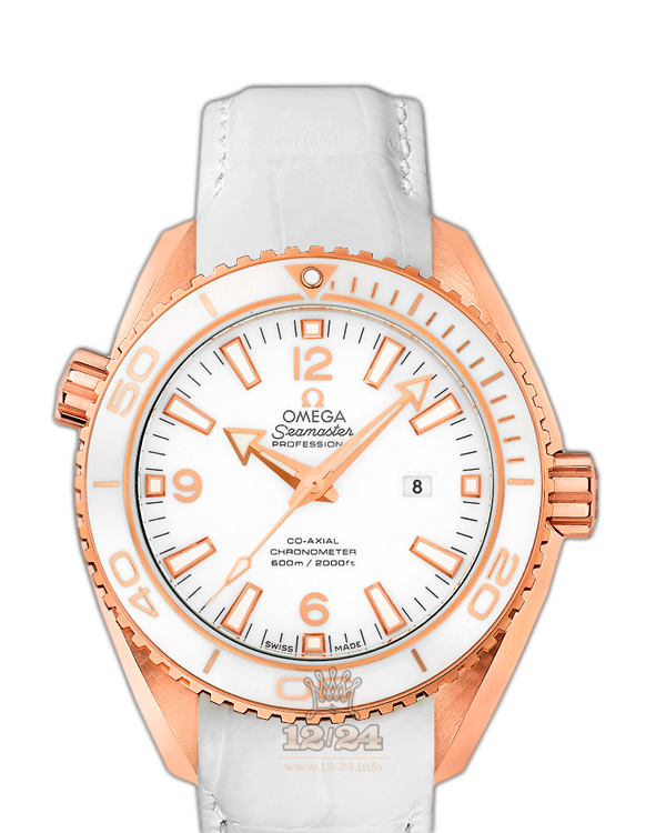 Omega Planet Ocean 600 M