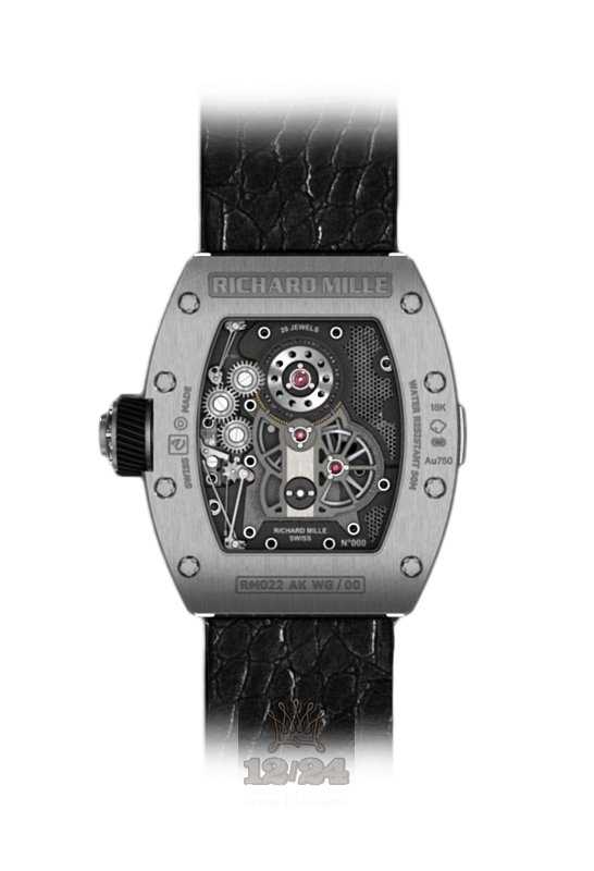 Richard Mille Mens Collection