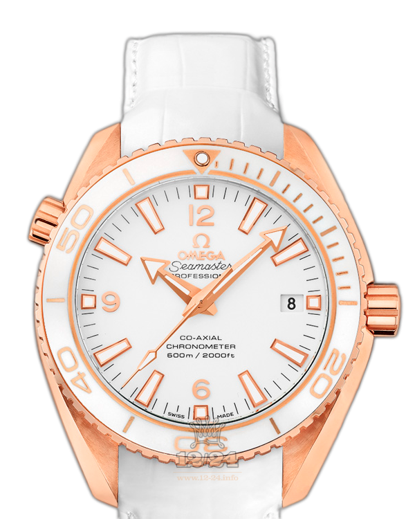 Omega Planet Ocean 600 M