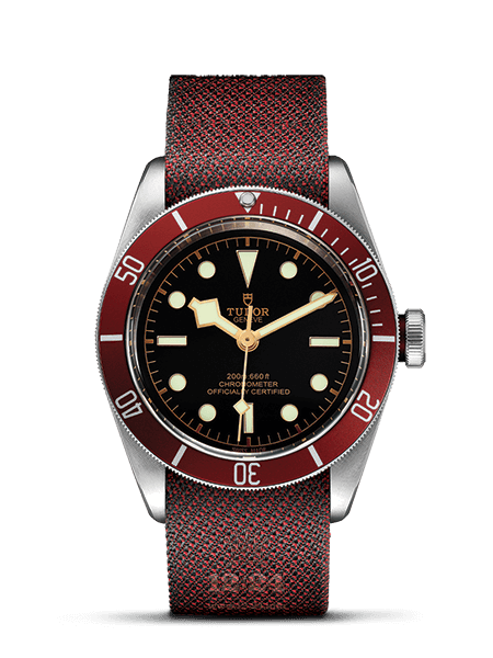 Tudor Black Bay