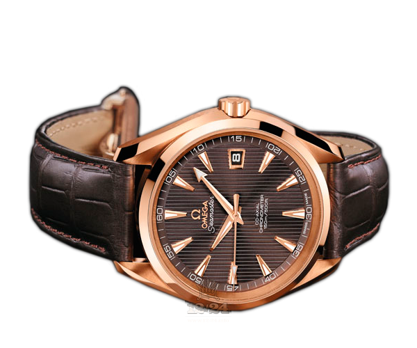 Omega Aqua Terra 150 M