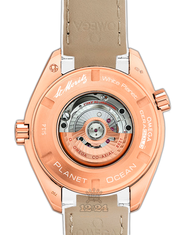 Omega Planet Ocean 600 M