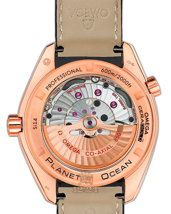 Omega Planet Ocean 600 M