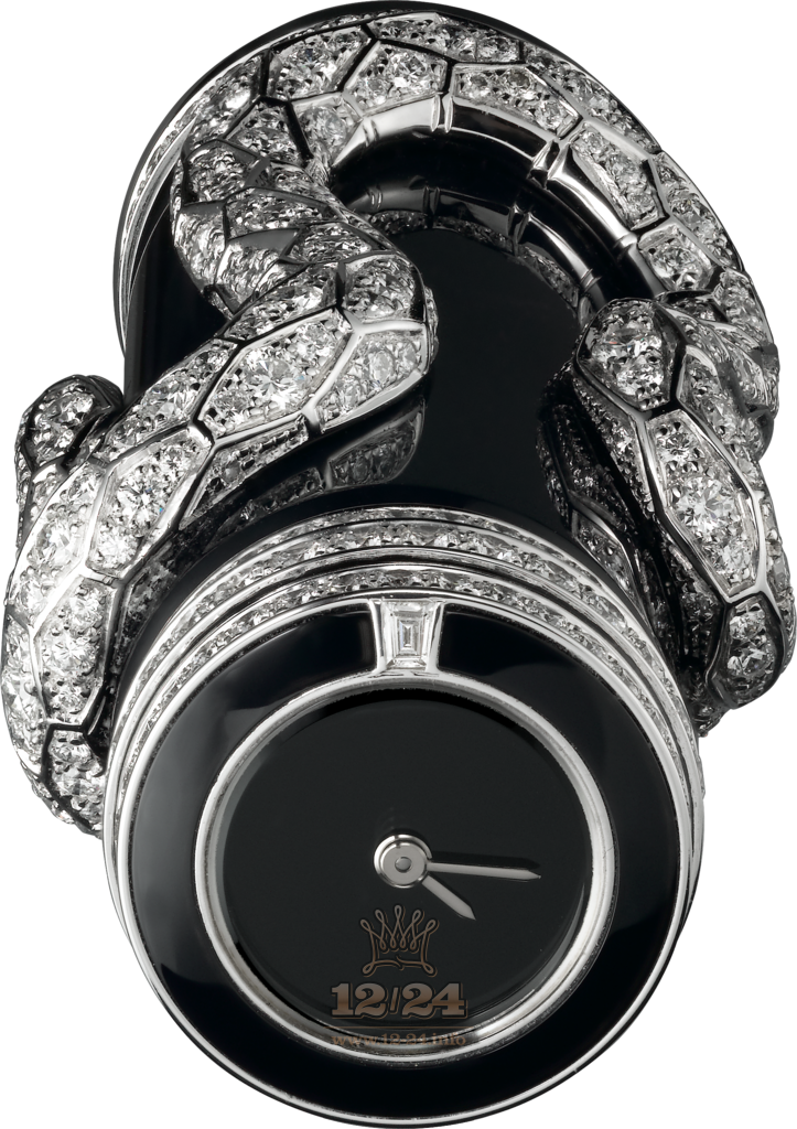 Cartier Creative jewelry watches
