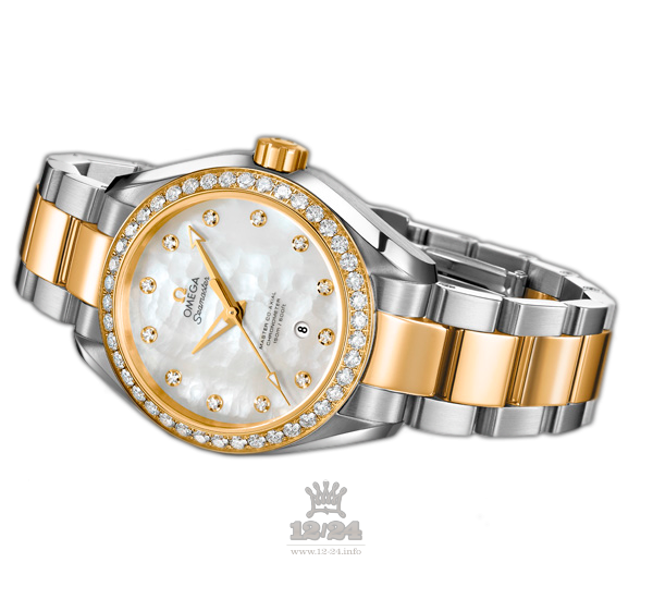 Omega Aqua Terra 150 M